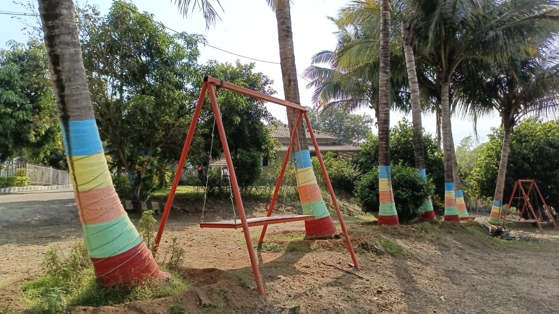 D. N. Patil Farm swimming pool