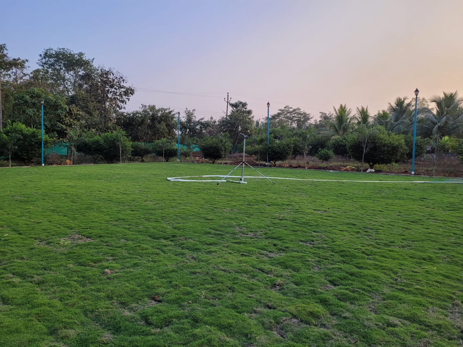 Vrindavan Farms lawn 1